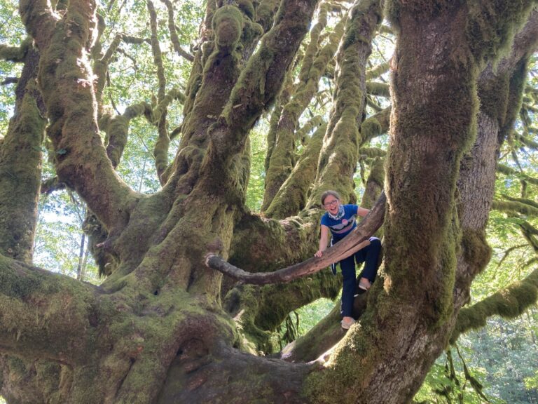 Girl climbing a massive tree
