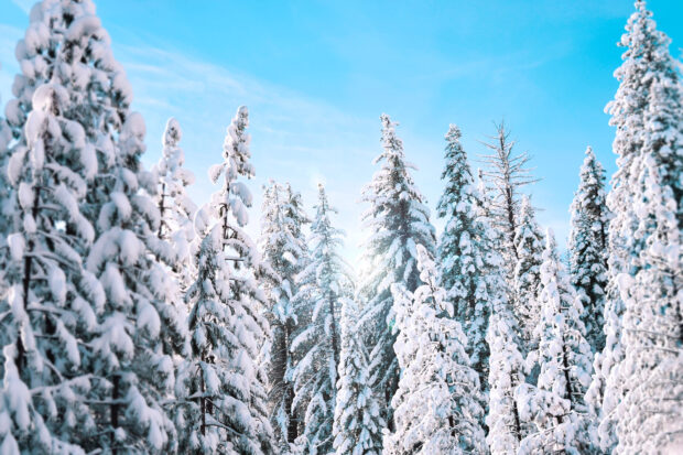 yosemite-snowpack-2023