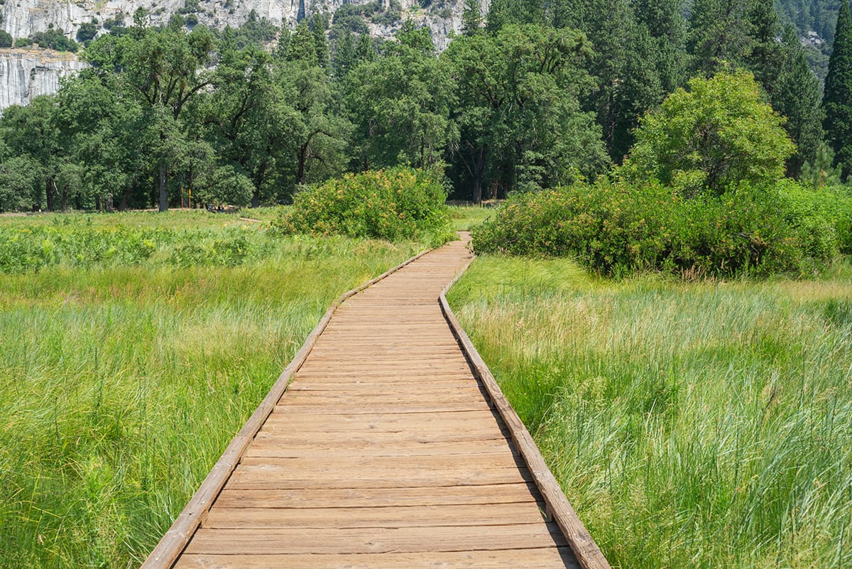 The boardwalk of Cooks Meadow in Yosemite National Park.